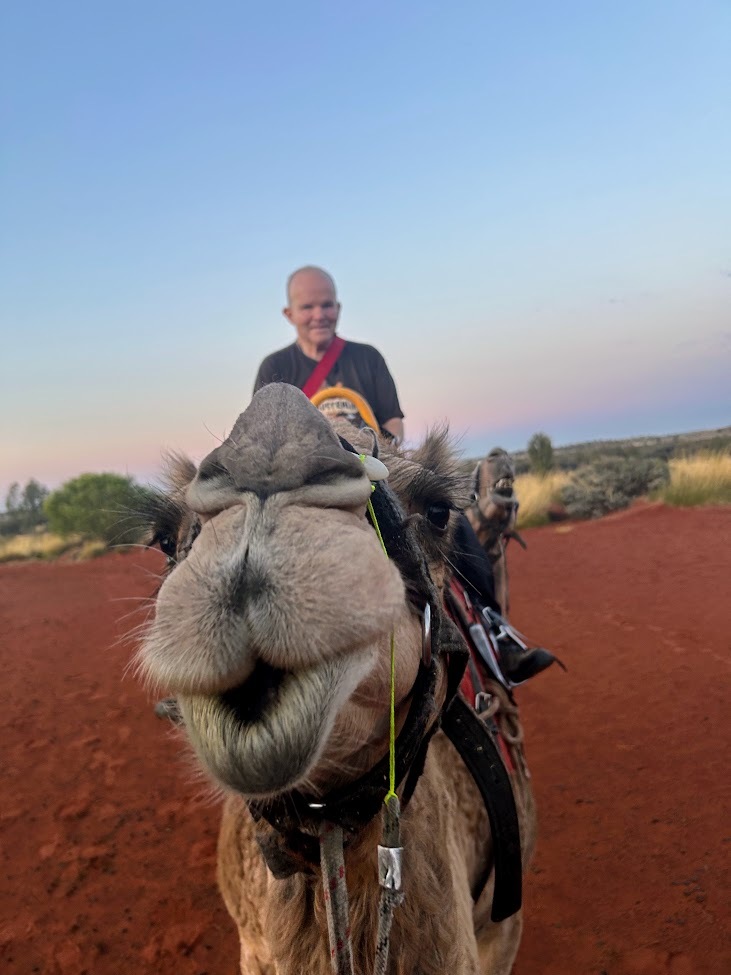 Arbor Doctor Ron Rothhaas and Panicum the camel at Uluru Rock, Australia