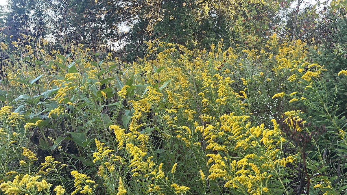 10E3B63F-CDD9-4E15-9978-7A82AF040CF4