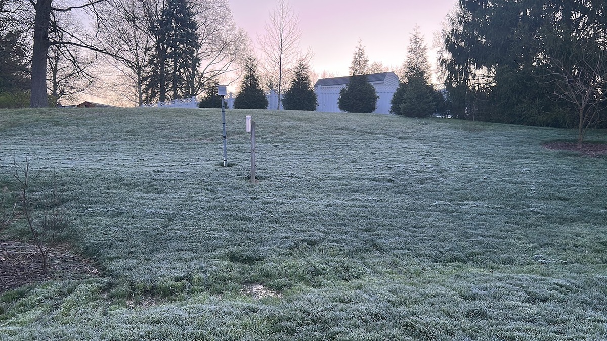 frosty am